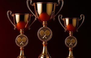 Résultats du tournoi